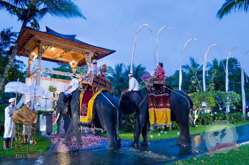 bali special wedding